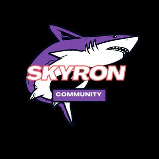 Skyron_group